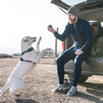Midweight Men's Wool Bottom Thermal Base Layer - 100% Merino Wool