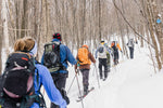 Treeline Outfitters Sherburne Ski Trail Backcountry Ski Day