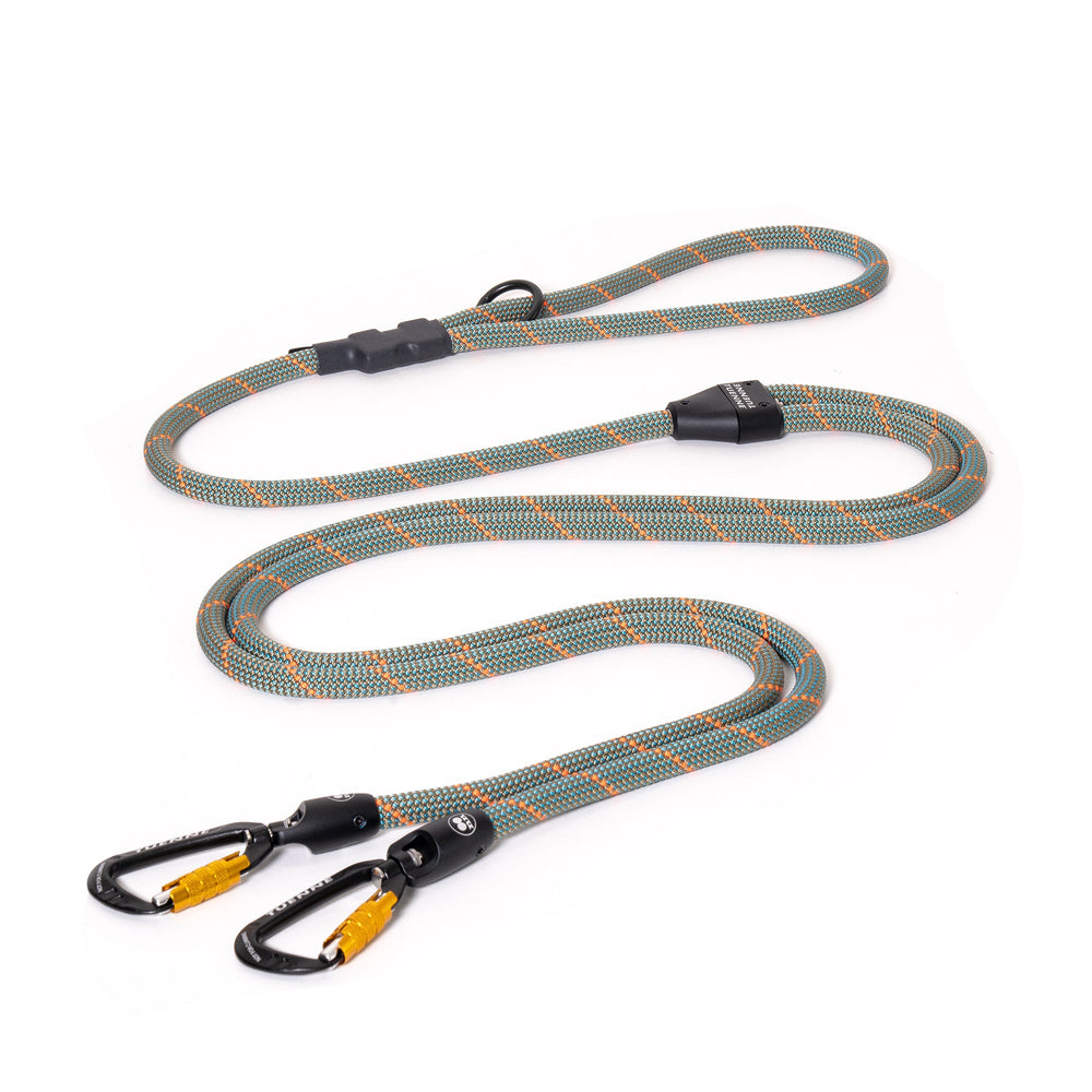2-in-1 Game Changer Dog Leash