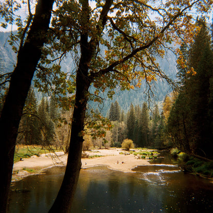 Long Weekend - 35mm Film Camera