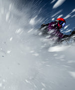 Treeline Outfitters Spring 2026 Bike -Ski - Bike Adventure
