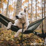 Customizable Norte Rope Dog Leash | Auto-Locking | Tuenne