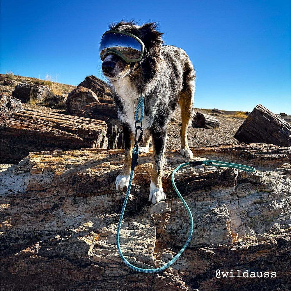 Customizable Norte Rope Dog Leash | Auto-Locking | Tuenne