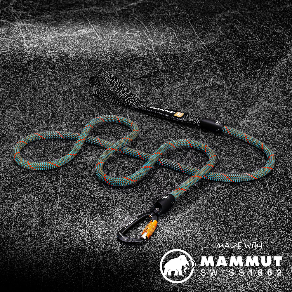 Customizable Rope Dog Leash – 2ft to 6ft | Auto-Locking | Tuenne